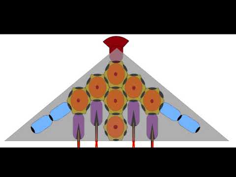 Lunar Convoy Carrier Frame