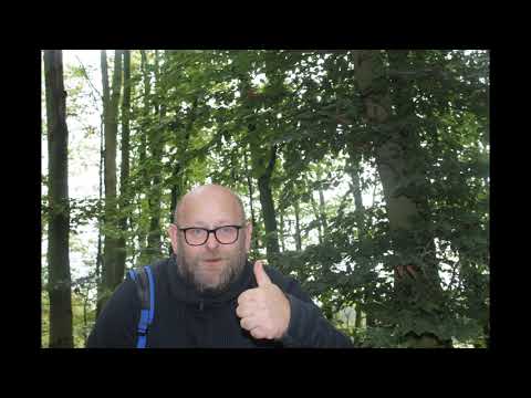 Wesly Bronkhorst ft. Berget Lewis - Reis Met Me Mee (2019-10 Bossen bij Hooghei)