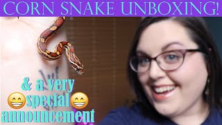 Unboxing A NEW CORN SNAKE! + Special Announcement