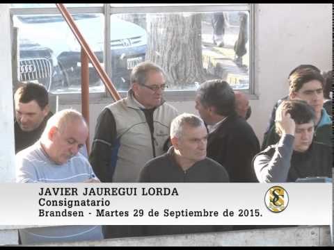 29-09-15 Nota Javier Jauregui Lorda - Genètica del Este y Jauregui Lorda - Brandsen.