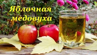 Медовуха в домашних условиях