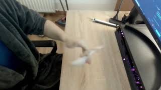 Coliseo SPSC duelo 25 vs criswea (musical)