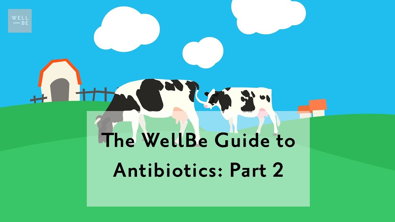 What are antibiotics? Understanding the harmful effects