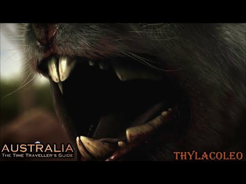 Australia: The Time Traveller's Guide thylacoleo screen time