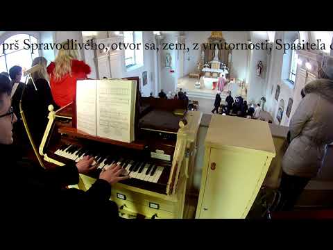 JKS 21 - Roste, nebesá