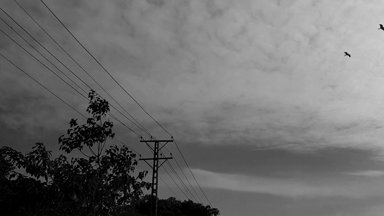 four frames; four stories trailer