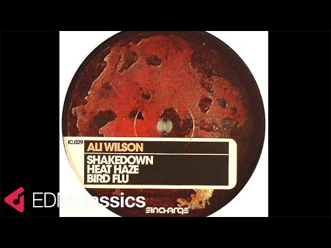 Ali Wilson - Shakedown (Original Mix) (2008)