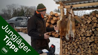Fuchs abbalgen | Jungjägertipps