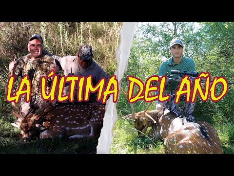 Fogón Amigo - La última del año en Sauce Corrientes