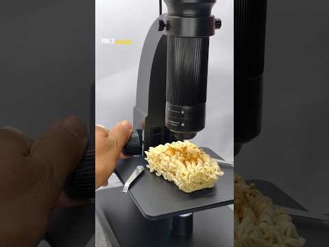 Look At Maggi Under Microscope #shorts #micro #microscope #maggi #science #biology #underamicroscope