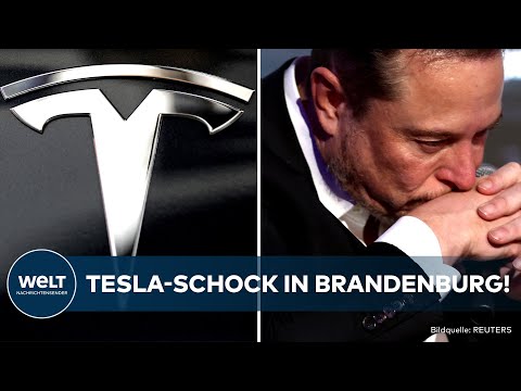 TESLA: "Ein Viertel der Belegschaft geht" Elon Musk streicht 3000 Jobs in Gigafactory in Brandenburg