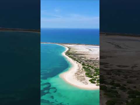 ✨ *Postales del paraíso* ✨ #venezuela #travel #travesia #turismo #viajeinolvidable #viajes