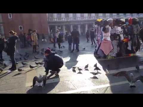 Venedig 16/17 - 017 - Von Tauben und Moewen