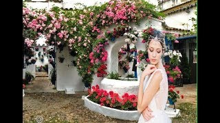 Fantasy  Cap D `amour