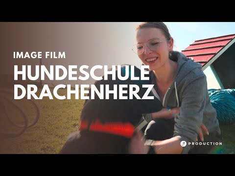 Einblick in die Hundeschule Hundefreunde Drachenherz