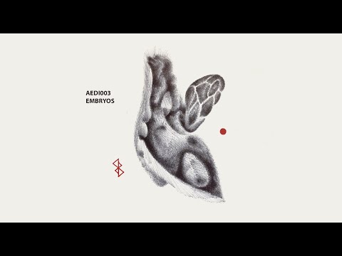 LDWQ & Wency - Embryo XI