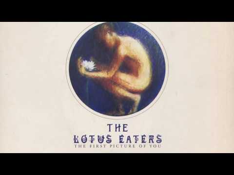 The Lotus Eaters - The First Picture Of You (HD)