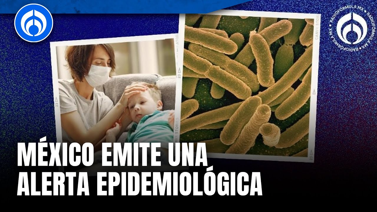 ¿Qué es la Klebsiella oxytoca y cómo se transmite?