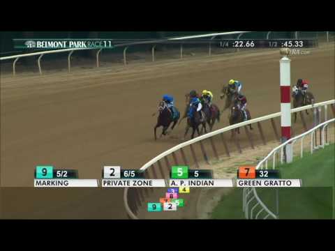 A. P. Indian - 2016 Belmont Sprint Championship