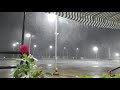 Rain Status Beautiful Rain Status ️