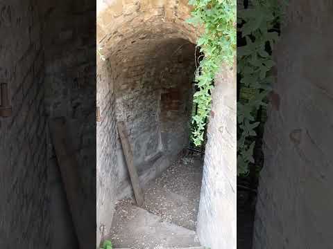 Eingemauert – kein Ausweg. #shorts