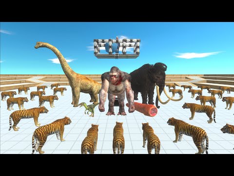 Protect The King From Tiger Team Battle Tournament - Animal Revolt Battle Simulator