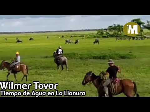 Wilmer Tovar, Lo Nuevo, Tiempo de Agua en la Llanura.