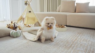 Asus Zenbook A14 (UX3407) - All you need, all in one