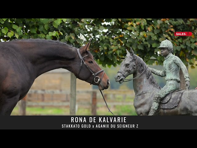 Mare Rona de Kalvarie