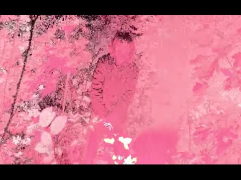BLADEE - EVERY MOMENT SPECIAL (Official Video) EXETER