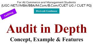 Audit in Depth, audit in depth example, audit in depth features, auditing, auditing classes, audit