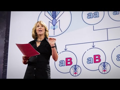 Gene editing can now change an entire species -- forever | Jennifer Kahn