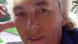 Die Lady und der Tramp