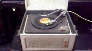 The 2000 pound Bee---J.D Hammond