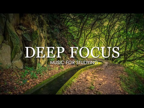Deep Focus Music To Improve Concentration - 12 Hours of Ambient Study Music to Concentrate #733