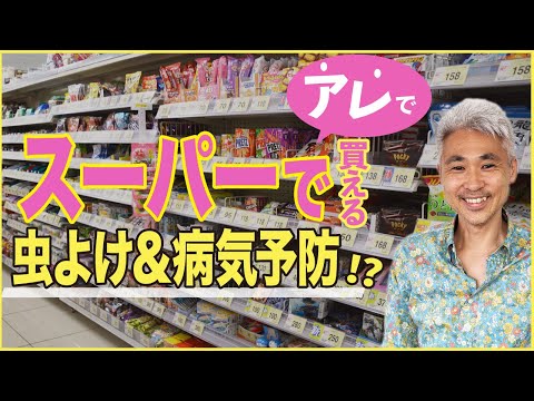 コーヒーかすが嫌いな昆虫は何ですか?忌避剤としてどのように使用しますか？  庭園