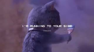 Download lagu story WA- Surrender mp3 Download lagu story WA- Surrender mp3