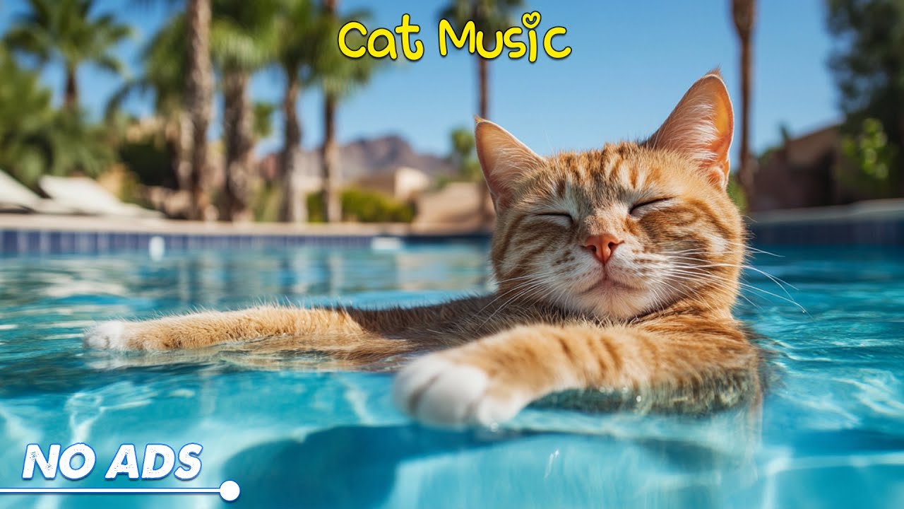 Relaxing Cat Soundscapes - Peaceful Music for Feline Comfort 🐱 Soothing therapeutic music for cats