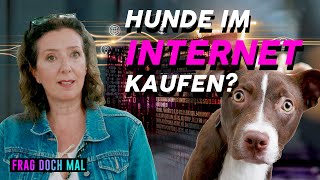 Hunde im Internet kaufen?! | Frag doch mal!