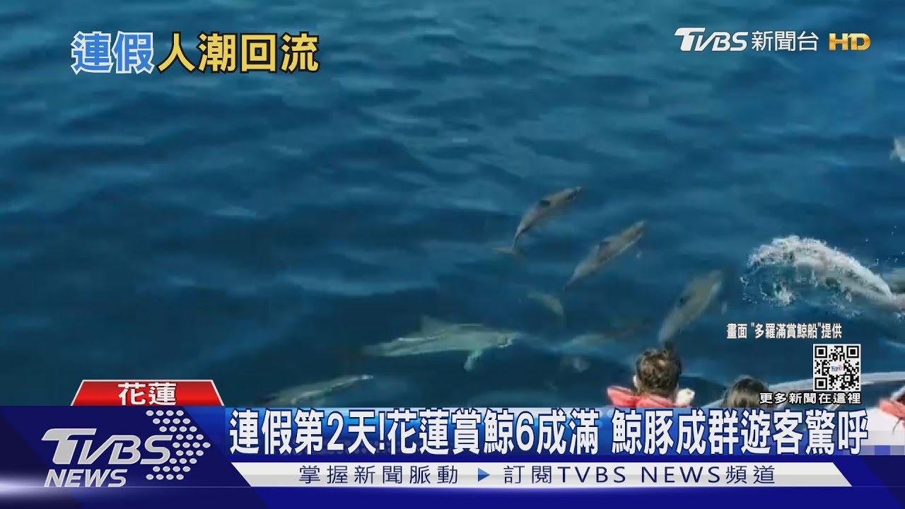 連假第2天現人潮！花蓮賞鯨6成滿　阿里山排隊進場 
