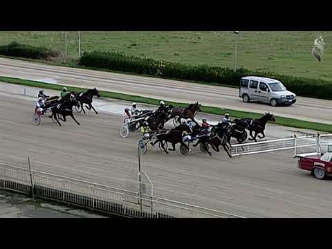 Aversa trotto 10 Febbraio 2021 - 6° Corsa