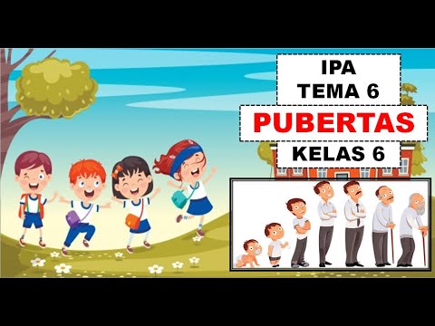 CIRI-CIRI PERUBAHAN FISIK LAKI-LAKI PEREMPUAN PADA MASA PUBERTAS TEMA 6 KELAS 6 IPA II DIAHS