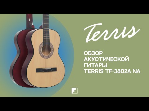 Обзор акустической гитары Terris TF-3802A