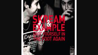 Skream &amp; Example - Shot Yourself In The Foot Again &quot;Extended&quot; [HD]