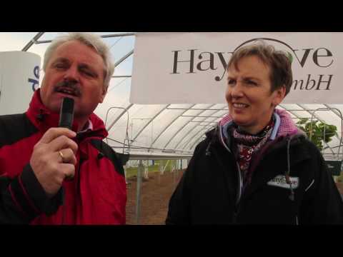 Interview mit Maria Mauel, Haygrove Deutschland