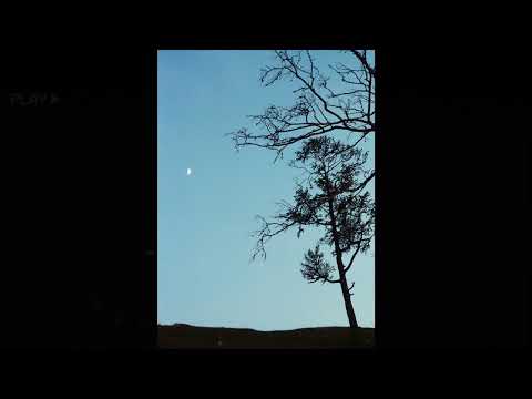 [FREE] guardin x 93feetofsmoke x fats'e type beat | "capture"