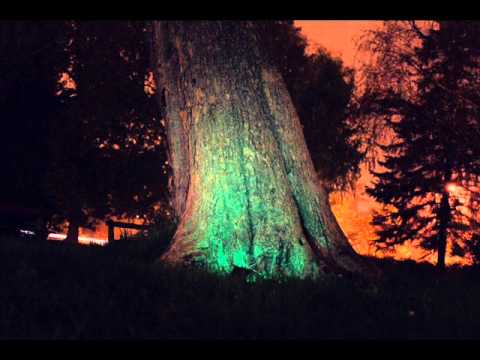 Sun Control Species & Behind Blue Eyes - Second Sunrise (Iboga Rec 2010)