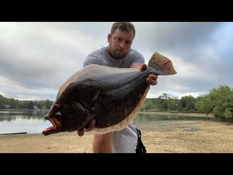 Quality Fluke on the North Shore! 9/12/23 Surf Fishing Long Island