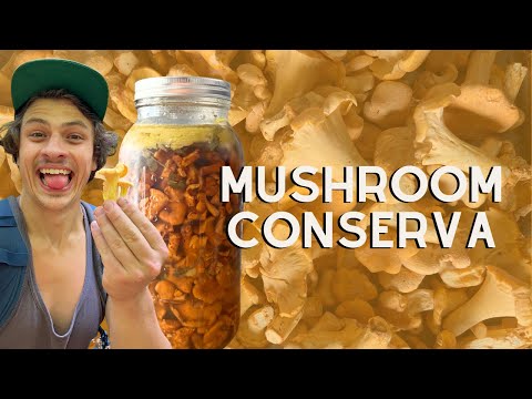 My Favorite Way to Preserve Fresh Mushrooms