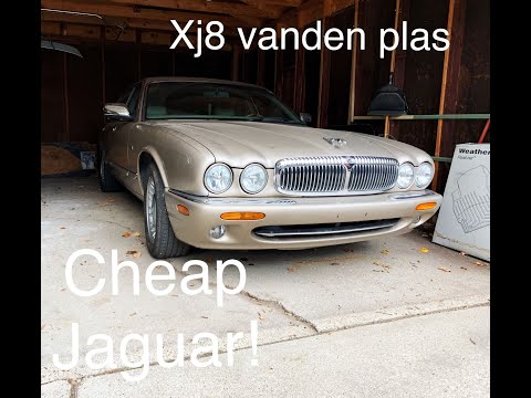 Why I love old Jaguars! Me buying a super cheap jaguar xj8 vanden plas...and it broke!
